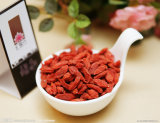 Lycium Barbarum Goji Berry From Ningxia China