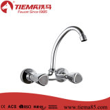 Wall Mounted Dual Handle Kitchen Faucet (ZS63602-553)