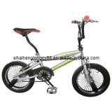 Freestyle Bicycle (FB-027)