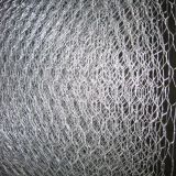 Hexagonal Wire Netting (DYWM961021)