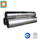 Stainless Steel Pipes 304 in China Market