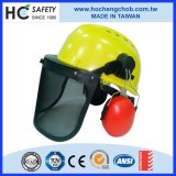 Forestry Construction Safety Helmets with Earmuff, Wire Mesh Visor