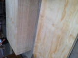 Pine Faced Plywood (PLY113)