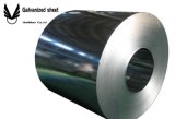 Hot Rolled Galvanized Steel Coil