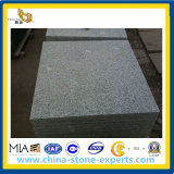 G341 Granite Tiles, China Grey Granite (YQA-GT1020)