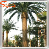 Outdoor Large Artificial Fiberglass Date Palm Tree