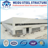 Steel Structure for The Factory or Other House (WD100601)