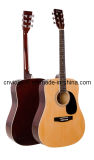 Acoustic Guitar (FG029-41N)