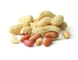 2014 Crop Peanut Kernels (GH16)