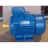 Industrial Fan Three Phases Electric Motor