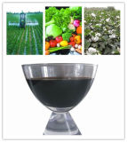 Humic Acid Plus NPK Liquid Fertilizer