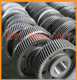 Precision Straight Teethed Spur Gear with Different Teeth