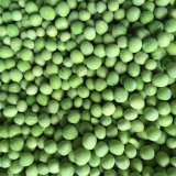 Good Price IQF Frozen Green Peas