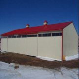 Structural Steel Warehouse Building for Sale