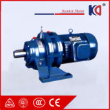 Large Bearing Electric Gear Reducer Motor