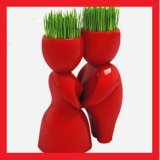 Red Lover Grass Doll Art Mini Plant Mini Desktop Potted
