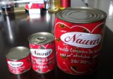 Canned Tomato Paste (001)