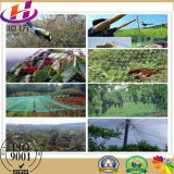 Agriculture Anti Insect Netting, Anti Bee Netting for Fruit Tree