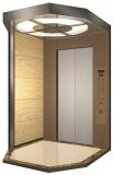 Yuanda Passenger Elevator Indoor Home Elelvator (TKJ320)