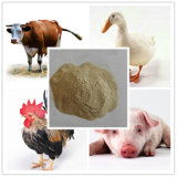 Animal Feed Grade Protein Yeast