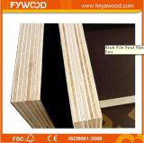 1220*2440*18mm Concrete Plywood with Poplar Core Brown Film Phenolic Glue