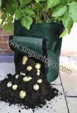 Potato Planter Bag