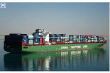 Lowest Logistics Freight to South America Shipping