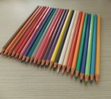 Resin Colored Lead Pencil (PS-804)