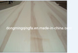 Qingfa Poplar Timber (QF-03)