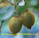 1-Methylcyclopropene Prolong Fruits Shelflife
