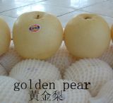 Fresh Pear (4kg/9kg/18kg/20kg)