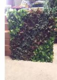 High Quality Artificial Plants and Flowers of Green Wall Gu-Wall05182815
