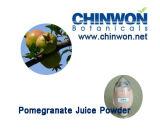 100% Pure and Instant Pomegranate Juice Powder