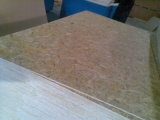 Obs Plywood for Construction Use
