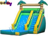 Single Water Slide with Pool