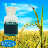 Agriculture Pesticides Paraquat (42%TC, 20%SL)