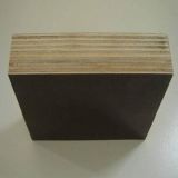 Black/Brown Film Faced Plywood for Construction