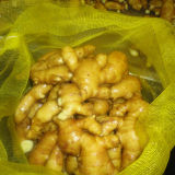 Chinese Fresh Ginger New Crop