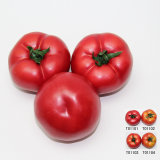 Artificial Fruit, Imitative Polyfoam Tomato