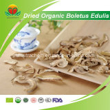 Manufacture Supply Dried Organic Boletus Edulis