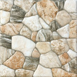 Inject Glazed Ceramic Floor Tiles (6D11)