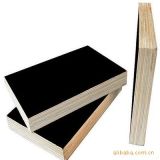 Australia Standard Hardwood Core Black Color Plywood