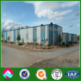 Wholesale Steel Structure Factory/Plant Building