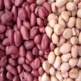 China Peanut Kernel, Luhua, Pink Skin, 24/28