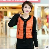 2013 New Fashion Design of Down Jacket for Women