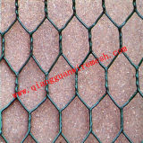 PVC Coated Chicken Wire Mesh /Hexagonal Wire Netting (QG27)
