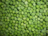 Frozen Green Pea (IQF) (GRADE A)