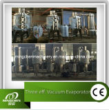 Triple-Effect Forced Concentration Evaporator