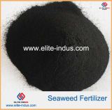 Derived From Ascophyllum Nodosum Organic Seaweed Fertilizer