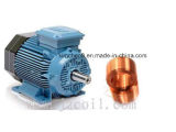 Motor Coil/Air Core Coil/Inductor Coil for Motor